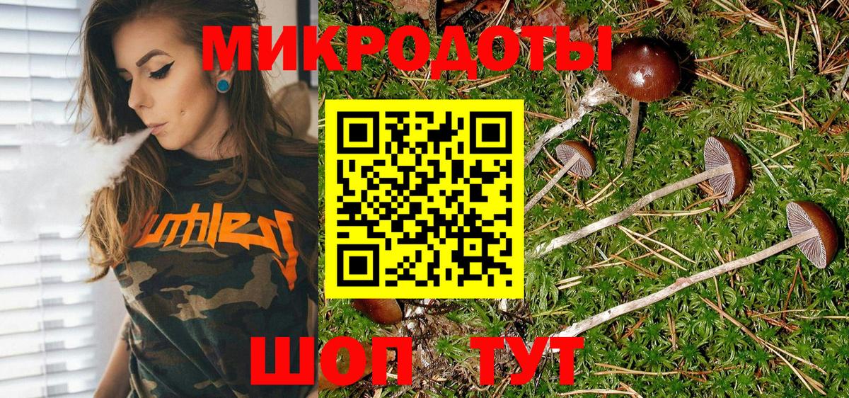 Купить закладку  A PVP СОЛЬ кристаллы  Вход с VPN  Мефедрон   Cocaine  ГАШ  Канабис  Гусев  Каннабис 