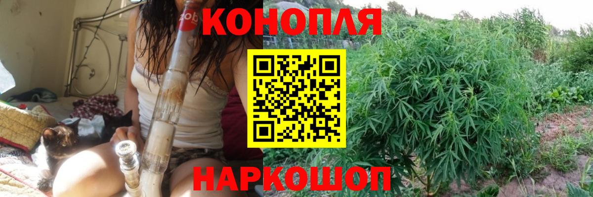 Шишки марихуана семена Гусев
